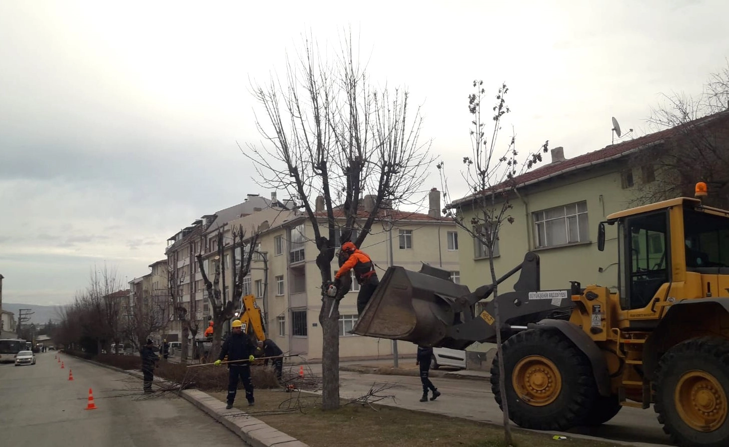 Eskişehir Büyükşehir Belediyesi Ağaçların Bakım ve Budama Çalışmalarını Aralıksız Sürdürüyor