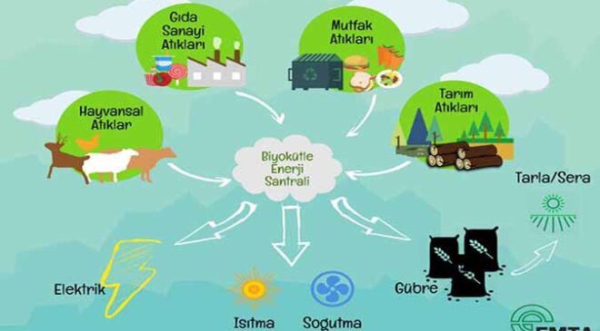 Biyokütle Nedir ?