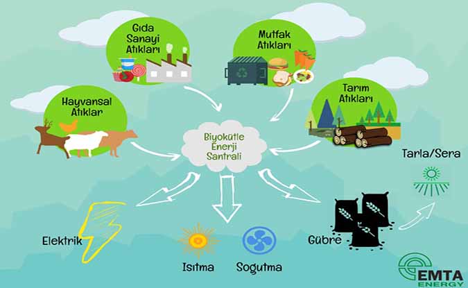 Biyokütle Nedir ?