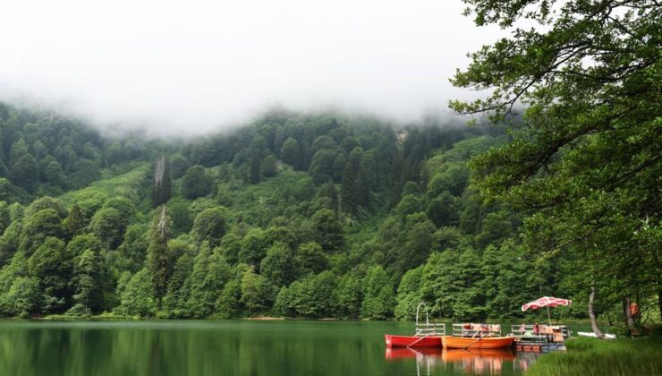 Artvin Çarşı Ve Alışveriş Noktaları