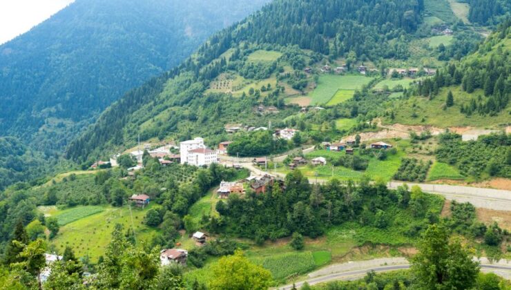 Artvin Mutfağında Neler Var?