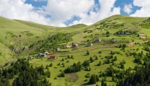 GİRESUN