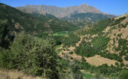HAKKARİ