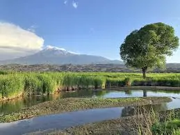 Bu görselin Alt özniteliği boş. Dosya adı: Agriya-Gidince-Ne-Yapilir-1.jpeg