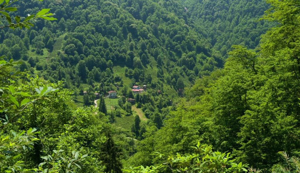 RİZE