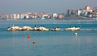Yalova Mutfağında Neler Var ?